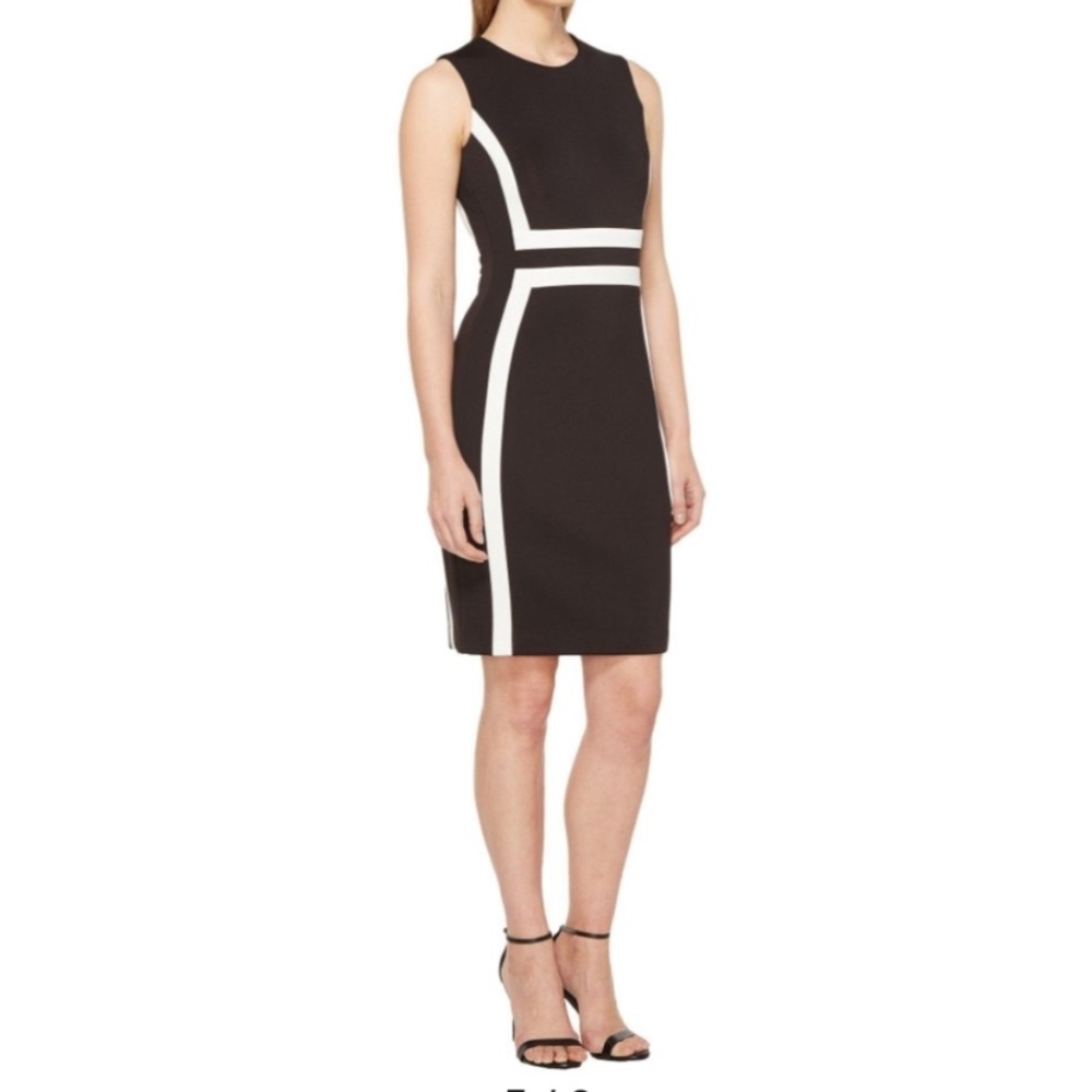 Color-block Sheath Scuba Dress Calvin Klein
